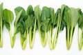 小松菜は栄養豊富な野菜！ほうれん草との違いやおすすめの調理法を紹介