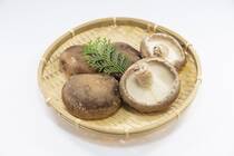 昭和の終わりから平成、令和へと近年の栄養学の進歩は著しいものがあります。