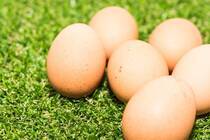 卵は、栄養成分が豊富なことで有名ですよね。卵を生で食べることもあれば、焼いてみたり、茹でてゆで卵にしたりなど、色々な調理方法で美味しく食べることができます。そんな卵ですが、実は生の卵とゆで卵、そして温泉卵など、その調理法によって栄養成分が違うのをご存知でしょうか？