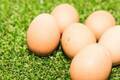 【卵の栄養】食べ方で違いがある！効率よく吸収するポイントを徹底解説