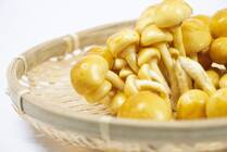 ぬめりが特徴のなめこ。みそ汁や、おそばなどの具材、なめこおろしなど、口にする機会も多いきのこですね。お店では1年を通して手に入りやすい価格で売られています。真空パックなどできっちり包装されていることが多く、見た目で鮮度を見分けにくいなめこ。そもそも、なめこの賞味期限はどのくらいなのでしょうか。今回は