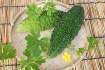 沖縄を代表する野菜の1つであるゴーヤのあまり知られていない栄養素や調理方法などを詳しく解説していきます。