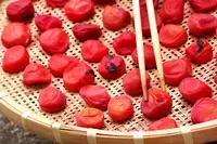 梅マイスター直伝！自家製「梅」レシピ総まとめ～梅酒から、梅干し、梅醤油、梅びしおまで