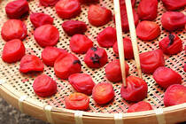 梅マイスターのライターが、梅酒、梅醤油、梅干しの作り方を丁寧にご紹介します。今年は今の旬だからこそ楽しめる「梅」仕事に挑戦しましょう！