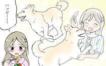 日々いろんなことがあるけれど…美味しいご飯で癒される。ささやかだけれど温かいおうちご飯の数々をお楽しみください！