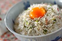 手間なく作れるシラス丼は食卓の登場回数も多いと思います。シラスと一言で言っても一体何の魚なのか知らなかったりしますよね。そこで今回は、シラスの正体や保存方法、シラス丼の基本レシピ＆アレンジレシピをご紹介したいと思います。