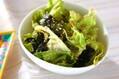 調理別【レタス レシピ51選】サラダはもちろん、炒め・蒸し・巻きも美味しい万能食材！