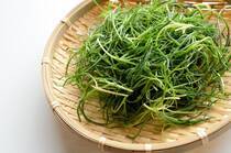 最近スーパーでも見かけることの増えてきた野菜「おかひじき」。この記事ではおかひじきの栄養素や基本の下ごしらえと、おかひじきを堪能するレシピをご紹介します。