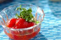 「ミニトマトだけ」でできる人気副菜レシピ10選【材料１つで完成するおかず】大量消費にも！