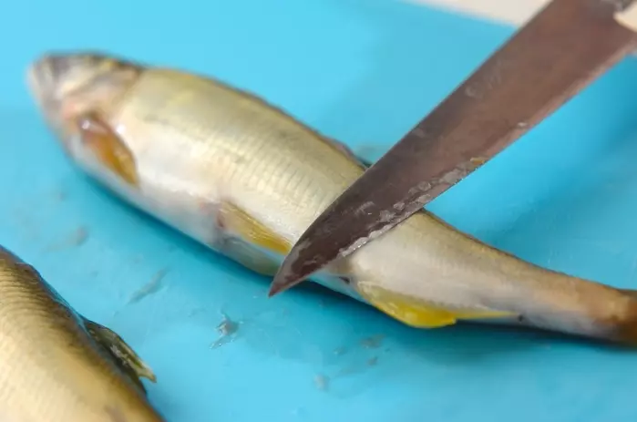 アユのシンプル塩焼きの下準備1