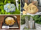 【2024年「紫陽花」を見に鎌倉へ】誰も知らない昭和レトロな秘密の小道発見！「北鎌倉台商店街」の魅力とは？