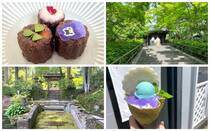 鎌倉がもっとも賑わうのはあじさいの季節とされています。この季節に北鎌倉の明月院を訪れる予定の方もいるでしょう。しかし、都会の喧騒を忘れる自然豊かな北鎌倉には、明月院以外にもたくさんの見どころが存在します。