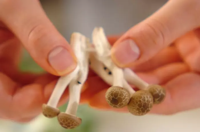 温かい ひやむぎのお吸い物 何度でも食べたくなるの下準備1