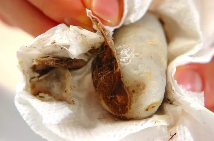 15分で完成 牛すじの甘辛煮 里芋ほくほくおつまみに by保田 美幸さんの作り方3