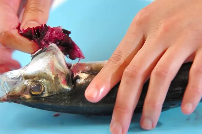 アジの塩焼き梅おろし添えの下準備1