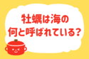 牡蠣は海の何と呼ばれている？【教えて！ みんなの衣食住「みんなの暮らし調査隊」結果発表 第63回】
