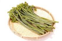 春のレジャーとして人気の山菜採り。なかでも「ワラビ」はポピュラーな山菜ですが、安全に食べるためには少しコツが必要な食材です。そこで今回は、ワラビの特徴やアク抜き方法について詳しく解説します。ワラビにも応用できる山菜レシピも必見です。