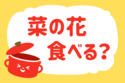 菜の花食べる？【教えて！ みんなの衣食住「みんなの暮らし調査隊」結果発表 第92回】