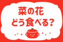菜の花どう食べる？【教えて！ みんなの衣食住「みんなの暮らし調査隊」結果発表 第107回】