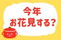 今年、お花見する？【教えて！ みんなの衣食住「みんなの暮らし調査隊」結果発表 第116回】