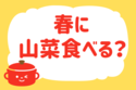春に山菜食べる？【教えて！ みんなの衣食住「みんなの暮らし調査隊」結果発表 第119回】