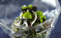 味噌汁やサラダなど、毎日の食卓で大活躍の食材、ワカメ。特に保存性の高い乾燥ワカメは、常備しているという方も多いのではないでしょうか。今回は、そんなワカメを使った簡単レシピ9選をご紹介。スープ・サラダ・酢の物、3つのジャンル別にまとめています。