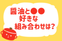 「しょうゆ」と組み合わせるならどの調味料？＜回答数 36,677票＞【教えて！ みんなの衣食住「みんなの暮らし調査隊」結果発表 第166回】