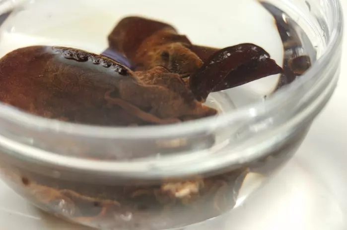 キクラゲと卵の中華スープの下準備1