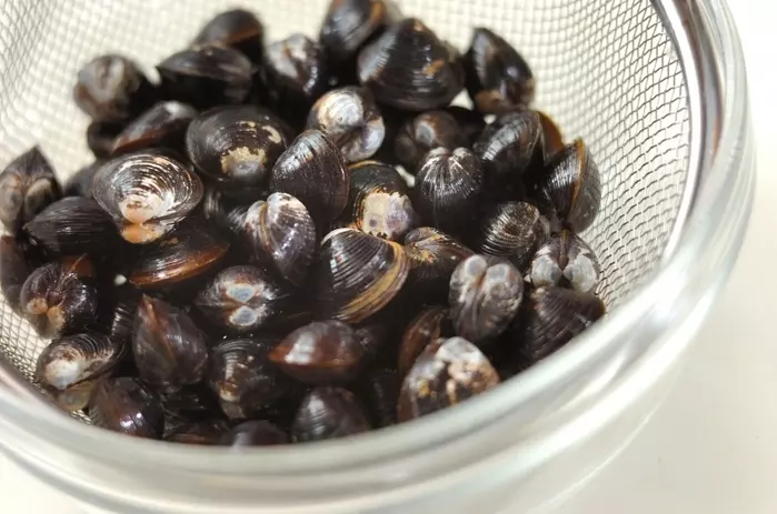 シジミ汁の下準備1