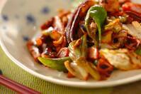 【今日の献立】2026年1月6日(火)「イカとキャベツのワタ炒め」