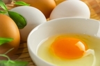 冷凍卵って一体なに？基本の作り方からおいしい食べ方まで詳しく解説！