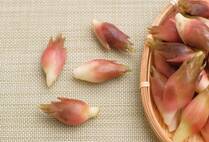 初夏から秋にかけて旬を迎えるみょうが。独特な風味とシャキッとした食感で、しょうがやねぎなどと並ぶ人気の薬味ですよね。みょうがは、そのまま冷蔵庫で保管すると3日程度で鮮度が落ちてしまう食材です。そんなみょうがのおいしさそのままに日持ちさせる保存方法を紹介します。