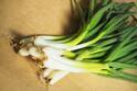長ネギの保存方法とは？鮮度を保つ冷凍・冷蔵・常温保存のコツ！