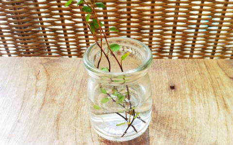 女子がついしてしまう男子には理解不能な行動