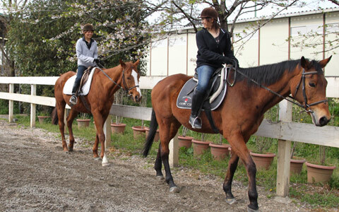 都会の喧騒に疲れたら、休日３日間でプチリフレッシュ！大自然と馬で癒される、“休日乗馬”がひそかなブーム