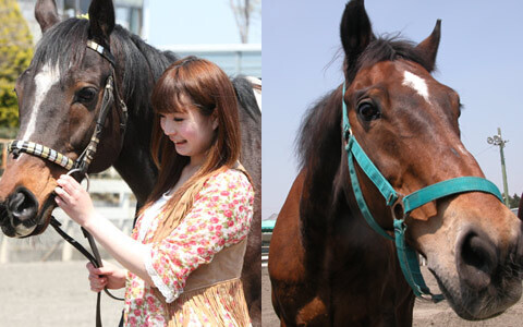 都会の喧騒に疲れたら、休日３日間でプチリフレッシュ！大自然と馬で癒される、“休日乗馬”がひそかなブーム