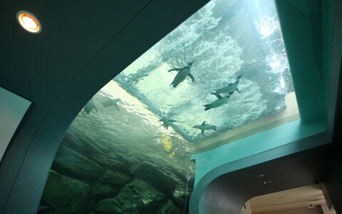 世界遺産・宮島に、水族館がグランドオープン