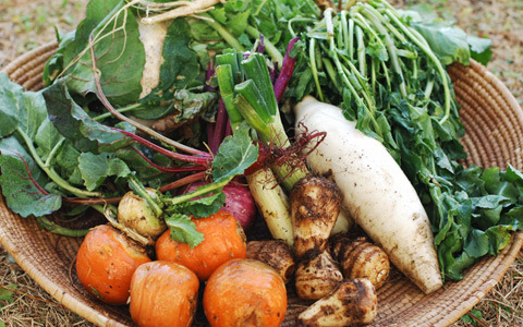 蓬莱洋館ヴィラ・デル・ソルで、スペシャルな秋コースを堪能