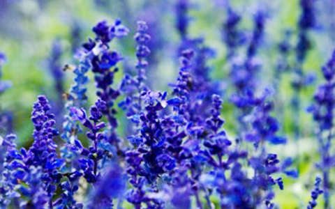 24時間の中で美しくなれる3時間っていつか知っている？