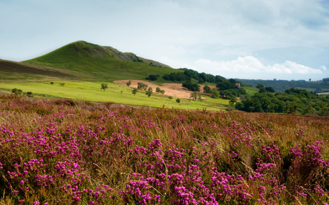 オーガニックアロマブランド、「マギー ティスランド」がリニューアル新発売