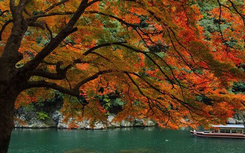 二十四節気の京遊び。「星のや　京都」が提案する、秋の過ごし方