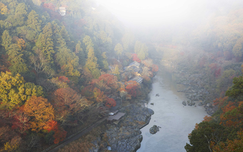 二十四節気の京遊び。「星のや　京都」が提案する、秋の過ごし方