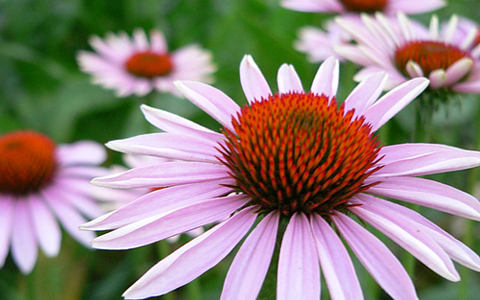 女をときめかせるための5つの行動