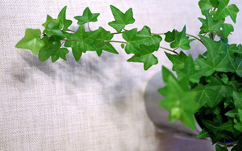 必見！寝ながら美しくなれる4つのテクニックとは？