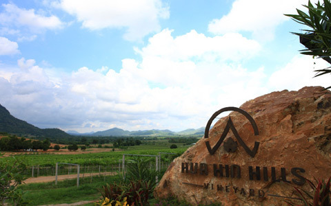 タイ王室の保養地ホアヒン、"サイアムワイナリー"の極上ワイン