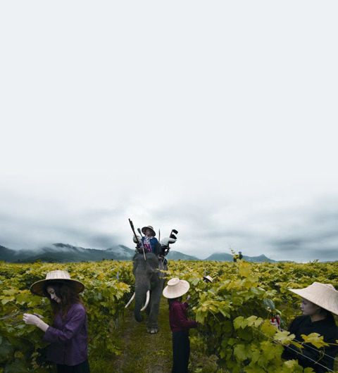 タイ王室の保養地ホアヒン、"サイアムワイナリー"の極上ワイン
