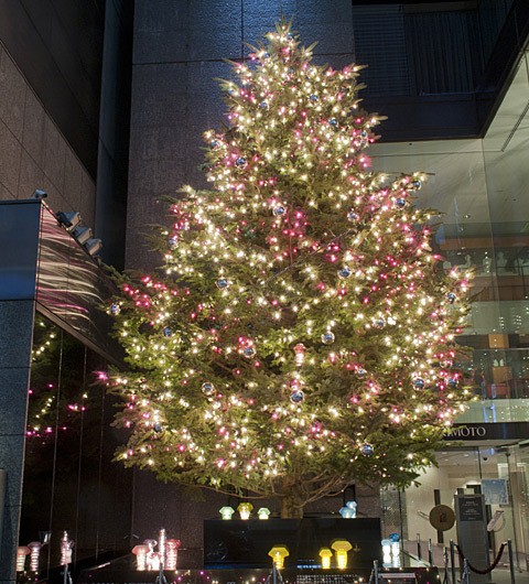 ミキモト ジャンボクリスマスツリー、今年も登場