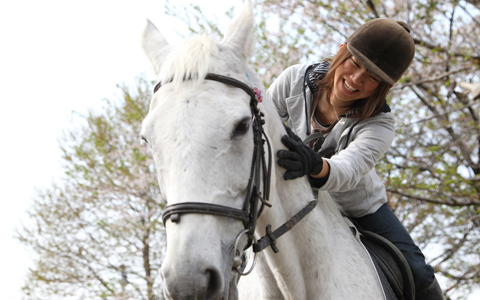 乗馬5級ライセンス取得コース(4万円相当)無料招待券をプレゼント！ クリスマスに向けて【乗馬】で健康的にモテボディをつくろう！