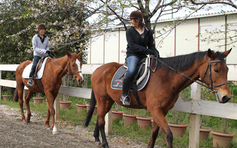 乗馬5級ライセンス取得コース(4万円相当)無料招待券をプレゼント！ クリスマスに向けて【乗馬】で健康的にモテボディをつくろう！