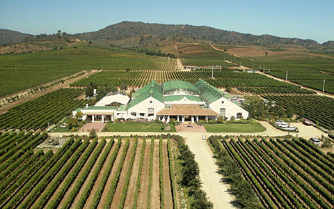 人気急上昇中、チリのプレミアムワインが数量限定登場